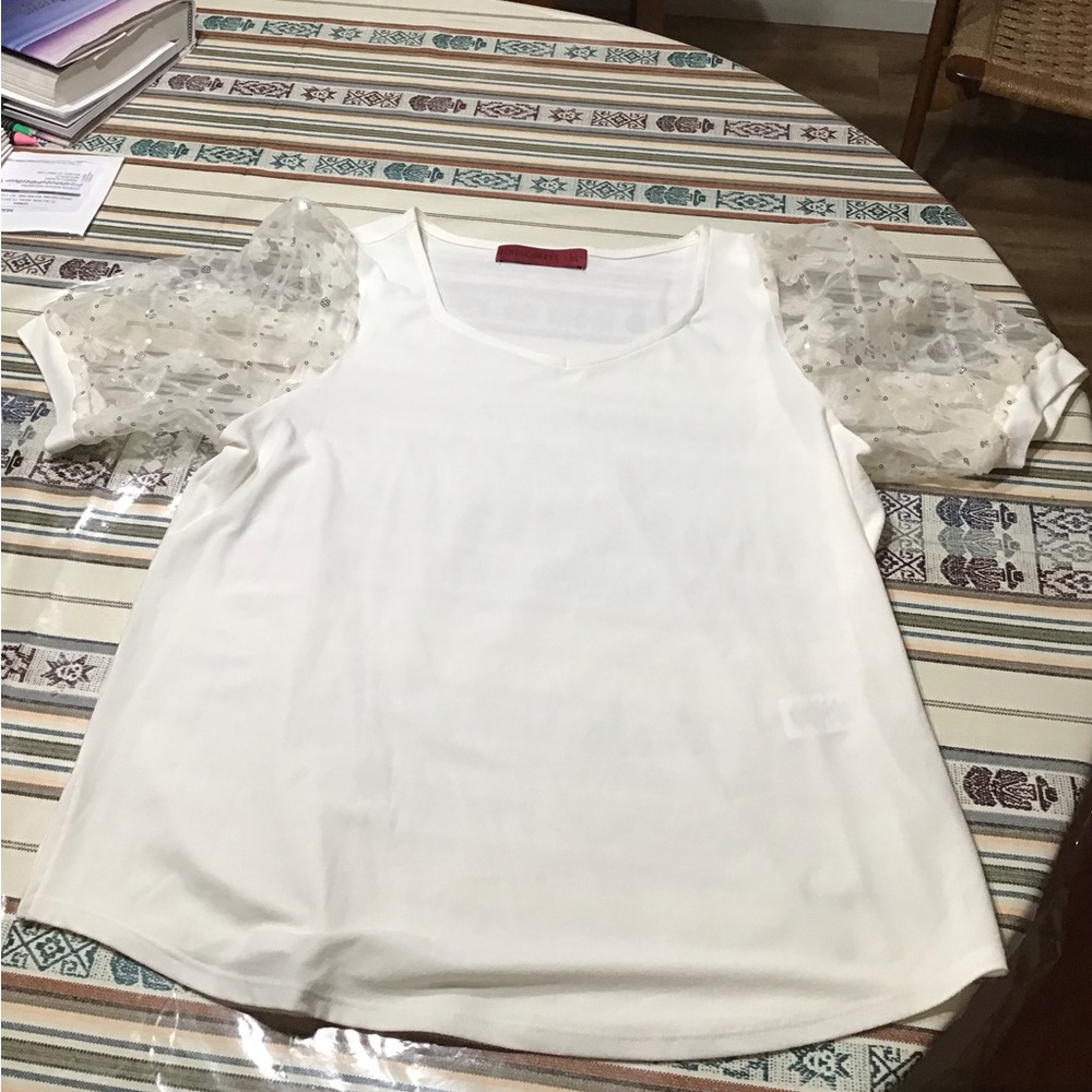 Love Scarlett Elegant Top with Sheer Sleeves